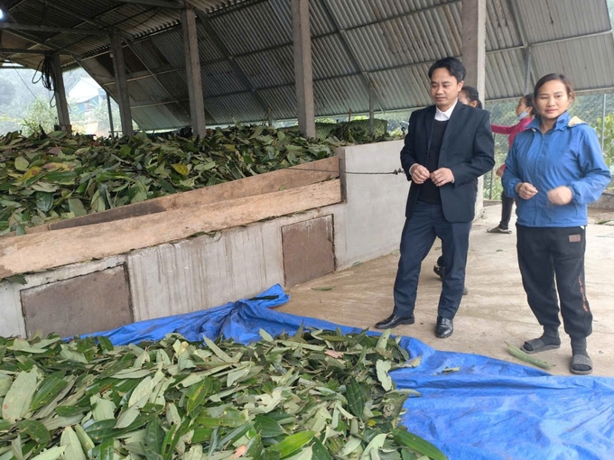 The local authorities aim to expand export markets to increase the product's value. Photo: Thanh Tien.