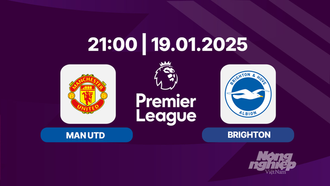 Trực tiếp bóng đá Man Utd vs Brighton, Ngoại hạng Anh, 21h00 hôm nay 19/1/2025