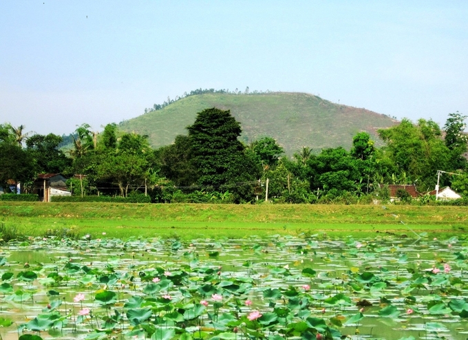 Ao sen Liên Trì cùng núi Xương Rồng và xóm làng tạo nên khung cảnh thơ mộng làm say lòng viễn khách. Ảnh: Thanh Kỳ.