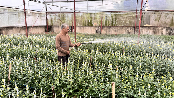 Nghề trồng hoa Tết đã mang lại thu nhập cao cho bà con tại nhiều làng nghề hoa cảnh ở Hà Tĩnh. Ảnh: Ánh Nguyệt.