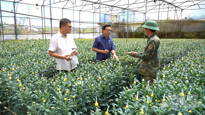 Ông Lại Thế Hưng (giữa) trao đổi với nông dân về bệnh virus trên hoa cúc. Ảnh: Hải Đăng.