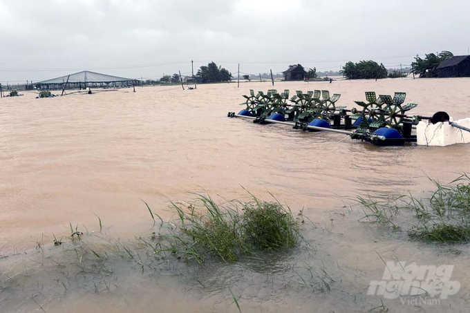 ... Nhưng năm 2024, ngành thủy sản Quảng Trị cũng gặp nhiều khó khăn do tác động tiêu cực của biến đổi khí hậu và ô nhiễm môi trường. Ảnh: Võ Dũng.