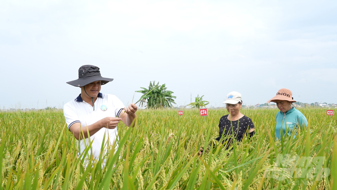 Anh Trần Văn Thanh cùng bà con nông dân ngoài cánh đồng. Ảnh: Hùng Khang.