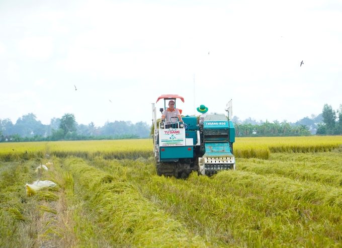 Ngành nông nghiệp Việt Nam đang có xu hướng chuyển đổi sang kinh tế xanh, sinh thái, thân thiện với môi trường. Ảnh: Kim Anh.