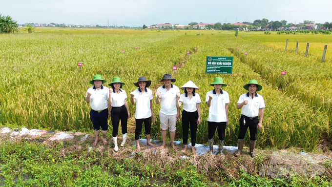 Anh Trần Văn Thanh cùng các cán bộ của Trung tâm Khảo kiểm nghiệm phân bón Quốc gia tại mô hình khảo nghiệm ở huyện Bình Xuyên, tỉnh Vĩnh Phúc. Ảnh: Hùng Khang.