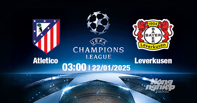 Trực tiếp bóng đá Atletico Madrid vs Leverkusen, Cúp C1 Châu Âu, 03h00 ngày 22/1/2025