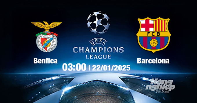 Trực tiếp bóng đá Benfica vs Barcelona, Cúp C1 Châu Âu, 03h00 ngày 22/1/2025