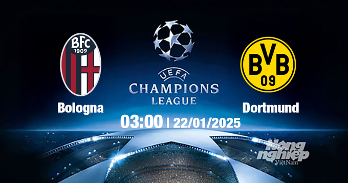 Trực tiếp bóng đá Bologna vs Dortmund, Cúp C1 Châu Âu, 03h00 ngày 22/1/2025