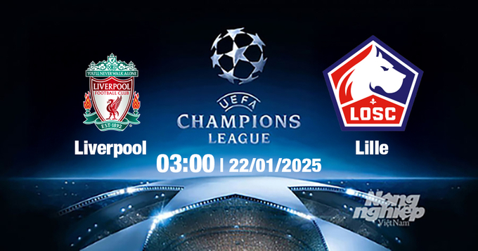 Trực tiếp bóng đá Liverpool vs Lille, Cúp C1 Châu Âu, 03h00 ngày 22/1/2025