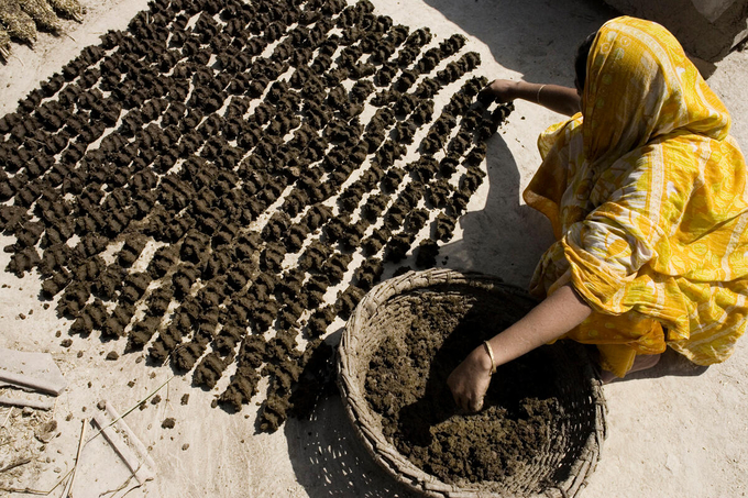 A villager making biofuel from cow manure. The report says agrifood system policies should encourage the use of organic nitrogen fertilizers to enhance sustainability.