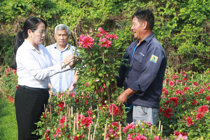 Bà Nguyễn Thị Thu Anh, Chủ tịch Hội Nông dân quận 12 thăm các nhà vườn Tổ hợp tác hoa nền phường Thạnh Xuân. Ảnh: Nguyễn Thủy.