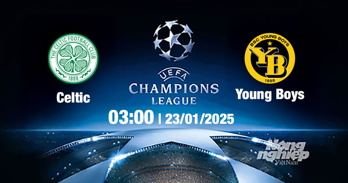 Trực tiếp bóng đá Celtic vs Young Boys, Cúp C1 Châu Âu, 03h00 ngày 23/1/2025