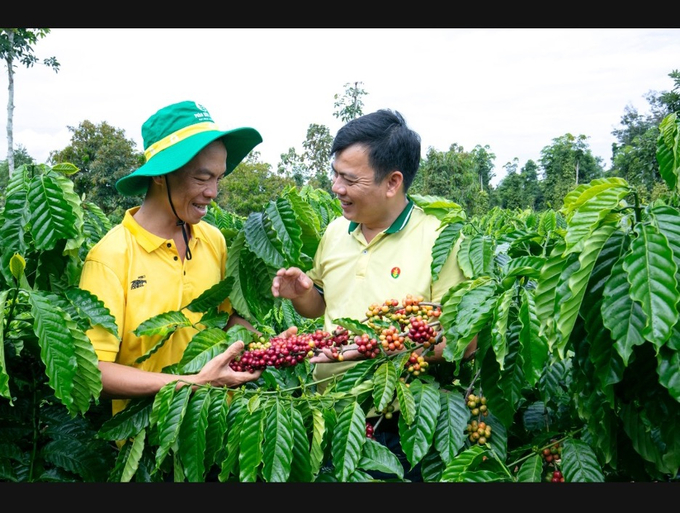 Phân bón Cà Mau quan tâm, chú trọng đến lợi ích của bà con nông dân bằng rất nhiều chương trình xúc tiến bán hàng, các hội thảo hướng dẫn kỹ thuật. 