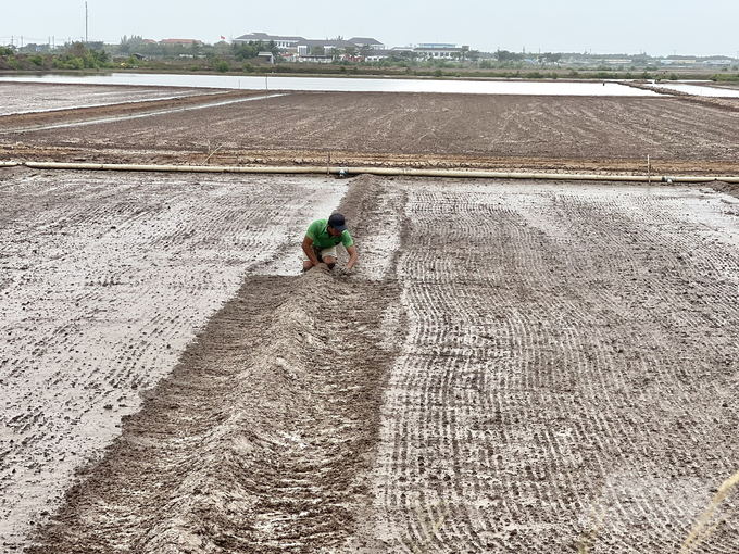 Diêm dân xã Điền Hải, huyện Đông Hải đã vào vụ muối năm 2025. Ảnh: Trọng Linh.