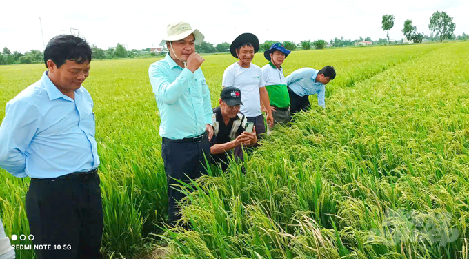 TSBIO giúp tăng cường hệ vi sinh vật có lợi trong đất, cải thiện sức khỏe rễ cây, từ đó giảm 50-70% lượng phân hóa học cần sử dụng. Ảnh: Lê Hoàng Vũ.