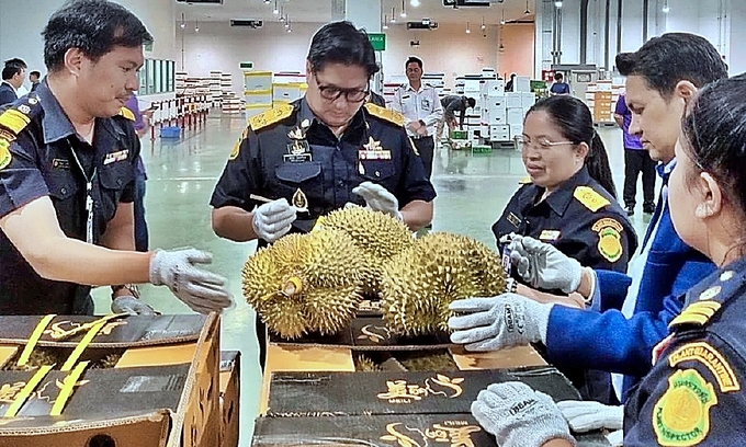 Tổng cục trưởng Rapeephat Chandrasriwong (từ hai từ trái) trực tiếp lấy mẫu kiểm nghiệm sầu riêng tại khu vực sân bay Suvarnabhumi. Ảnh: The Nation.