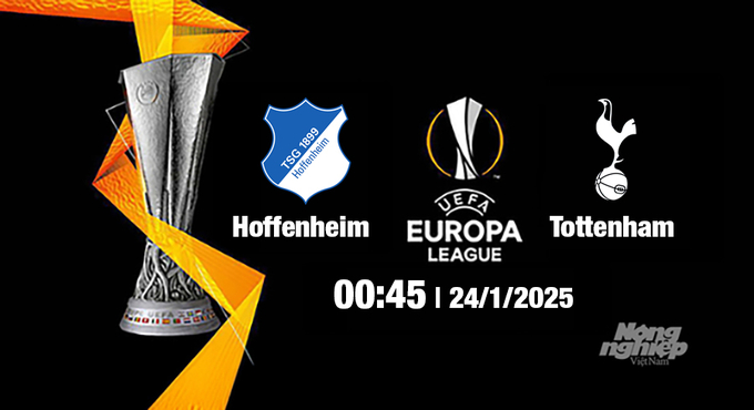 Trực tiếp bóng đá Hoffenheim vs Tottenham, Cúp C2 Châu Âu, 00h45 ngày 24/1/2025