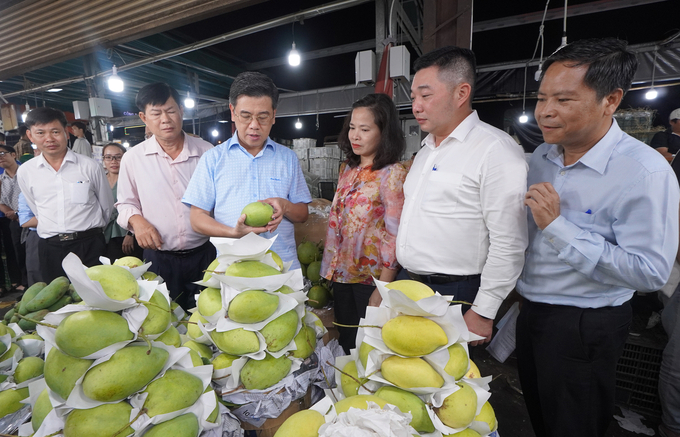 Các mặt hàng trái cây phục vụ Tết Nguyên đán khá phong phú. Ảnh: Nguyễn Thủy.