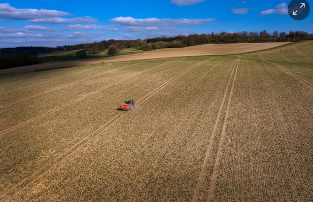 Farmers face a dilemma: to get more flowering plant species and pollinators, the land needs to be less fertile, which reduces yields. Photograph: Nigel Francis/Alamy.