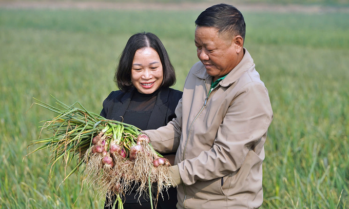 Bà Lương Thị Kiểm, Phó Giám đốc Sở NN-PTNT tỉnh Hải Dương (trái) khẳng định cây vụ đông Hải Dương thắng lợi toàn diện. Ảnh: Bảo Thắng.