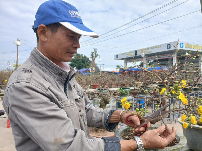 Anh Nguyễn Văn Bình, chủ nhà vườn mai cảnh bán mai mini trước Trung tâm Đăng kiểm xe cơ giới số 77-03D. Ảnh: V.Đ.T.