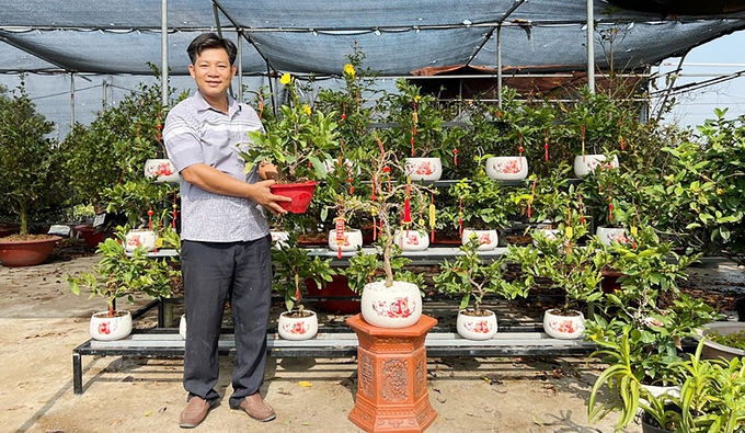 Vườn mai Hữu Đức cho ra thị trường nhiều dòng mai khác nhau như mai bonsai, mai mini... Ảnh: Nguyễn Thủy.