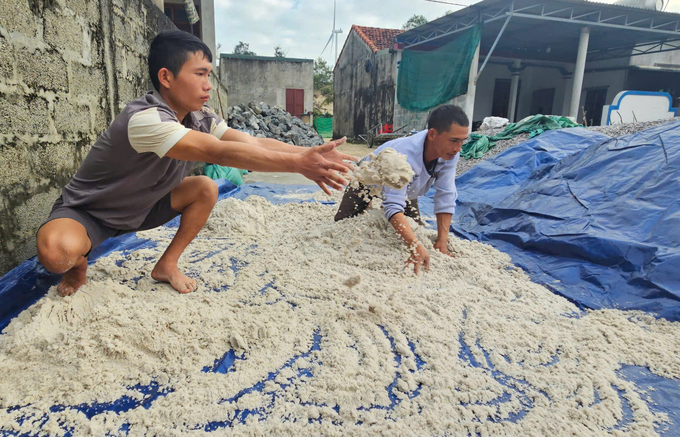 Phơi cát ra những ngày nắng để cát nhanh khô. Ảnh: T. Đức.