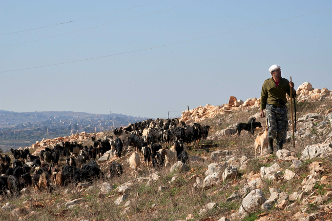 Thirty percent of population in Lebanon faces acute food insecurity as 2025 begins, malnutrition risk remains.