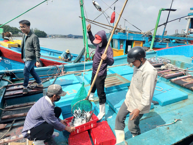 Ngư dân Quảng Ngãi trở về sau khi đánh bắt phiên biển cuối năm với sản lượng cao. Ảnh: L.K.