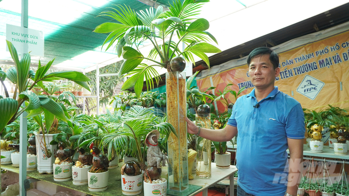 Ngoài các sản phẩm dừa bonsai linh vật, anh Đậu Thanh Tùng còn cho ra các sản phẩm dừa bonsai thủy canh. Ảnh: Nguyễn Thủy.