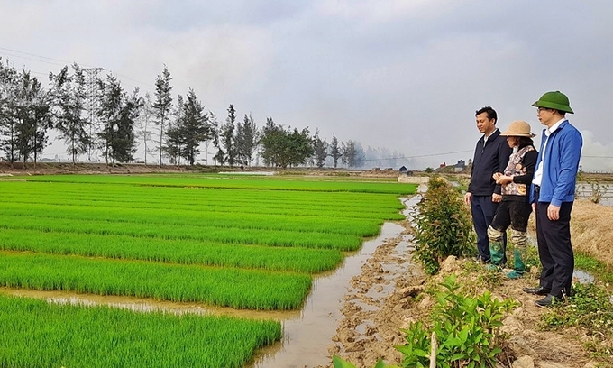 Đoàn kiểm tra của Chi cục Trồng trọt - BVTV tại huyện Ninh Giang. Ảnh: Sở NN-PTNT Hải Dương.