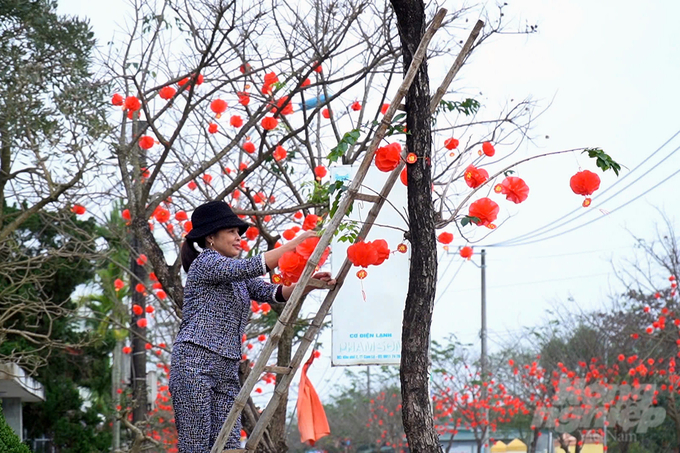 Người dân thị trấn Cam Lộ tạo nên những con đường hoa đầy sắc màu. Ảnh: Võ Dũng.