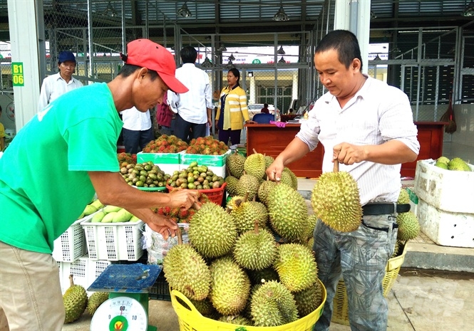 Các tiểu thương đang tất bật vận chuyển hàng hóa về chợ để phục vụ nhu cầu người tiêu dùng. Ảnh: Hoàng Phúc.