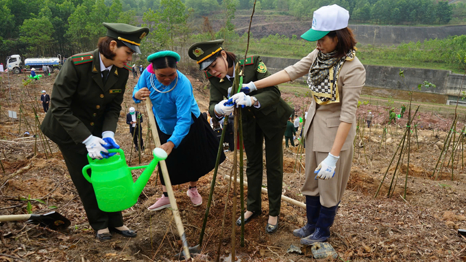 Lễ phát động 'Tết trồng cây đời đời nhớ ơn Bác Hồ' năm 2025 sẽ diễn ra tại huyện Tiên Yên, Quảng Ninh. Ảnh: Nguyễn Thành.