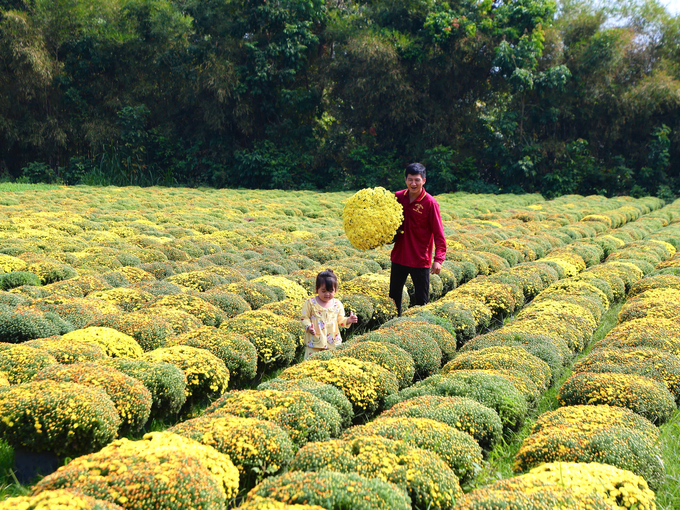 Khách đến nhận hoa. Ảnh: Trần Trung.