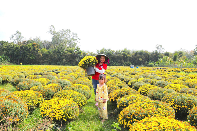 Du khách đổ về làng hoa ấp Vịnh để chụp ảnh. Ảnh: Trần Trung.