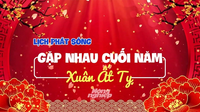 Chi tiết lịch chiếu chương trình Gặp nhau cuối năm xuân Ất Tỵ