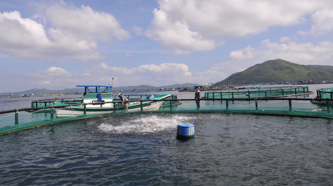 Tỉnh Phú Yên khuyến khích nuôi biển ứng dụng vật liệu lồng mới thân thiện với môi trường. Ảnh: A.Chung.