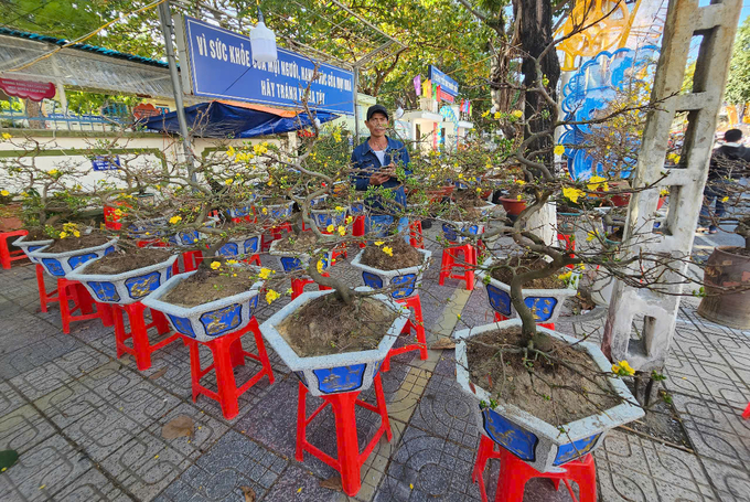 Nhiều thương lái vẫn còn nhiều hoa Tết dù chiều 29 Tết. Ảnh: KS.