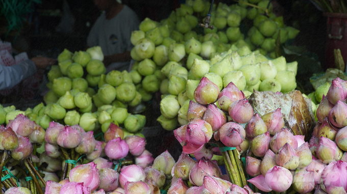 Hoa sen là loại hoa được ưa chuộng để trưng Tết.