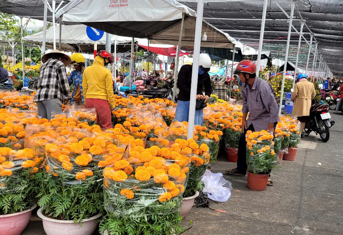 Sức mua tại chợ Hoa Xuân Mỹ Tho thấp, tiểu thương còn tồn nhiều hoa tươi. Ảnh: Minh Đảm.