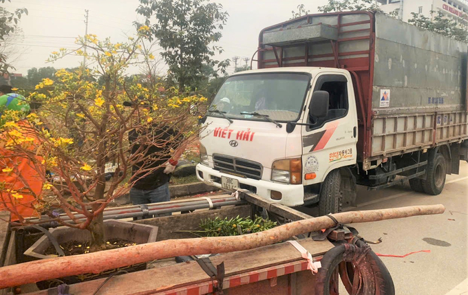 Họ phải gom hàng thuê xe chở về các nhà vườn hoặc các điểm xử lý rác để đảm bảo vệ sinh môi trường.