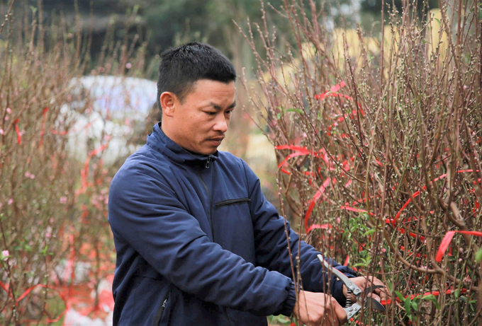 'Các năm trước điểm bán cây cảnh ở bờ hồ Bình Sơn, không gian rất thoáng và rộng. Năm nay do bờ hồ đang thi công nên dồn về địa điểm sân vận động để bán cây. Địa điểm này không gian rất bí và nhiều người không biết để tìm đến mua cây', một tiểu thương thông tin.