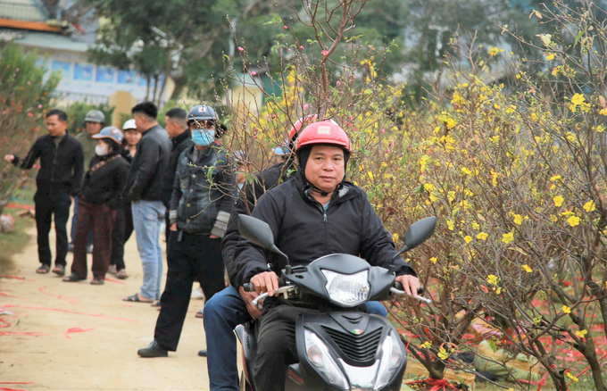 Theo các tiểu thương, năm nay sức mua giảm mạnh so với các năm ngoái nguyên nhân một phần do suy thoái kinh tế, người dân thắt chặt chi tiêu, phần nữa tại thị trấn Hương Khê do thay đổi địa điểm bán cây đột ngột.