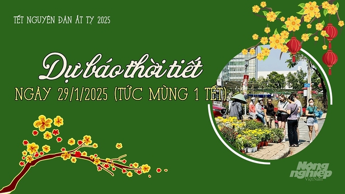 Tin tức thời tiết hôm nay 29/1/2025 (tức Mùng 1 Tết) trong cả nước