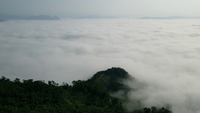 Don Den Peak in Ba Be National Park is ideal for eco-tourism and resort tours. Photo: Ngoc Tu.