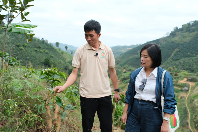 Mr. Ha Van Thao (left) and ASSET project expert (right) visit a coffee garden in Nam village. Photo: Quynh Chi. 