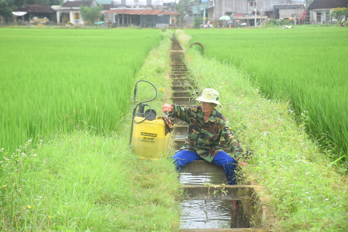 Vui Tết, nhưng nông dân Bình Định vẫn bám đồng ruộng. nong duoc viet nam