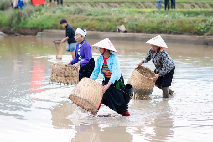 Hoạt động bắt cá ruộng được tái hiện nhằm gìn giữ văn hóa và quảng bá du lịch địa phương. Ảnh: Thanh Tiến.