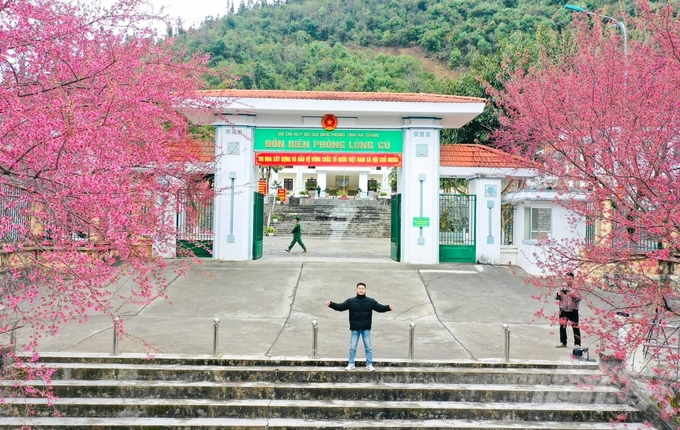 Cứ vào dịp đầu xuân, hoa mai anh đào lại nở rực rỡ dọc tuyến đường dẫn đến trung tâm xã Ma Lé và xã Lũng Cú của huyện Đồng Văn, tỉnh Hà Giang. 